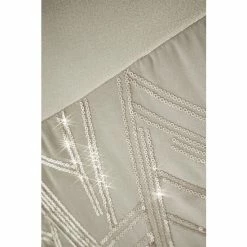 Catherine Lansfield Champagne Gold Velvet Sparkle Cushion -Catherine Lansfield Shop unnamed file 901